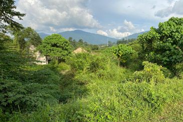 Semenyih Integrated Industrial Park