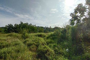 Bandar Country Homes