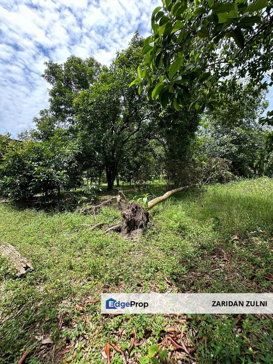 Bungalow Land Kampung Sungai Serai,Kuang, Rawang , Selangor, Sungai Buloh