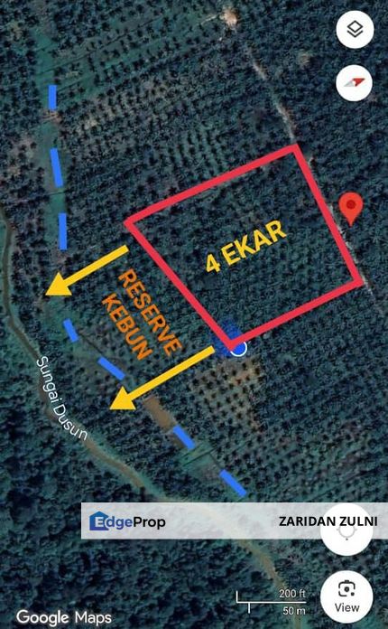 Agriculture Land Felda Soeharto , Selangor, Hulu Selangor