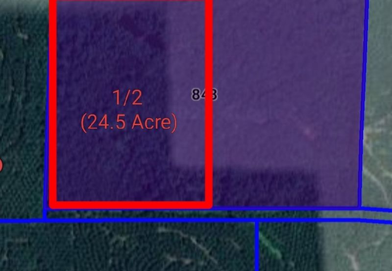 KAMPUNG BARU KERDAU/PEKAN KERDAU