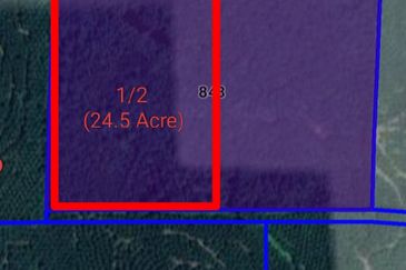 KAMPUNG BARU KERDAU/PEKAN KERDAU