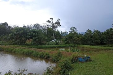 Kampung Sungai Lui