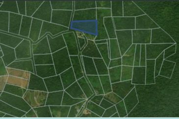 Agricultural Land @ Temau Dong Raub Pahang