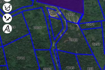 Agricultural Land @ Temau Dong Raub Pahang