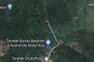 Agricultural Land @ Temau Dong Raub Pahang