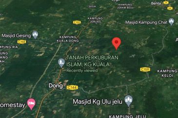 Agricultural Land @ Temau Dong Raub Pahang