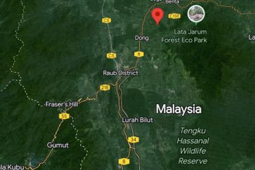 Agricultural Land @ Temau Dong Raub Pahang