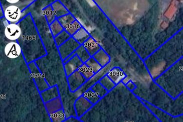 Agricultural Land @ Temau Dong Raub Pahang