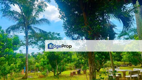 Sg Menyala Port Dickson, Matured and Fertile agricultural land of fruit bearing trees and a fully furnished home, Negeri Sembilan, Port Dickson