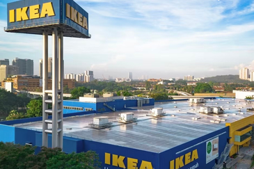 Rafflesia @ The Hill