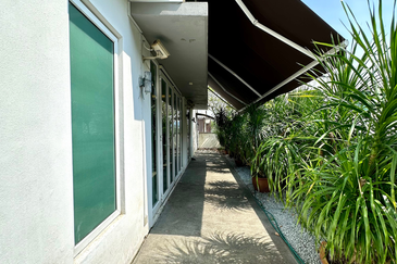 Rafflesia @ The Hill