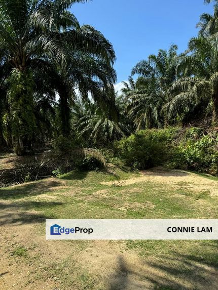 Agri land in ind zoning low price for sale, Perak, Klebang