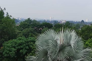 Allamanda @ Meru Valley Resort