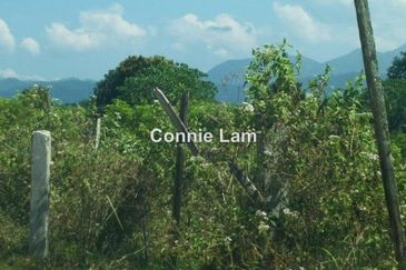 Zon Perindustrian Bebas Kinta