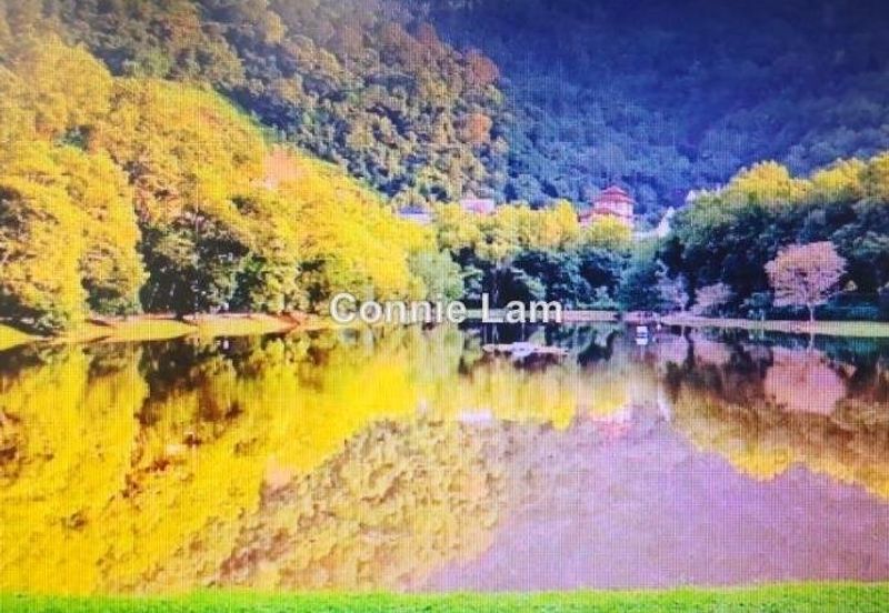 Allamanda @ Meru Valley Resort