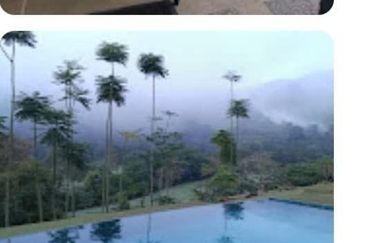 Allamanda @ Meru Valley Resort