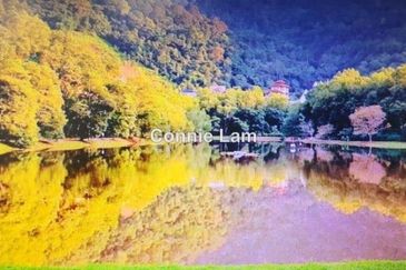 Allamanda @ Meru Valley Resort