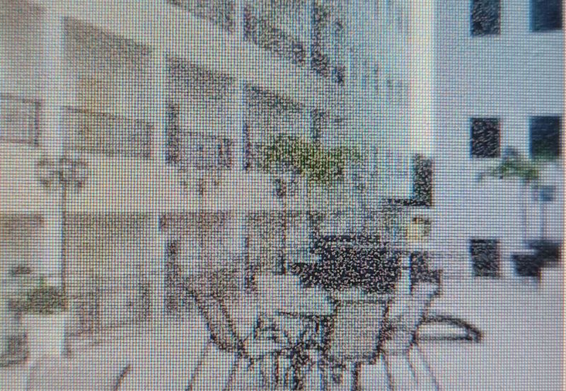 Loyal Garden Residences