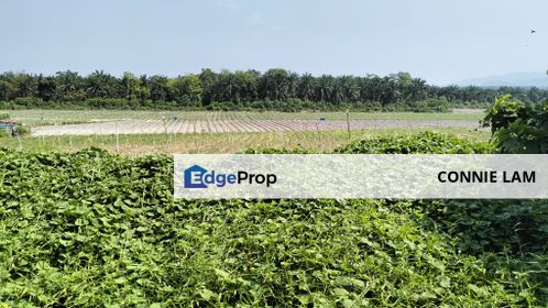 Agri land in industrial zone for sale at Klebang ipoh, Perak, Klebang