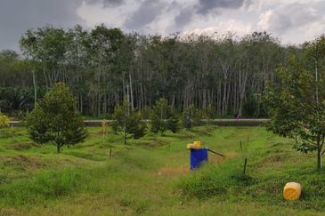 Agri land 17 acres for sale at Lenggong perak 