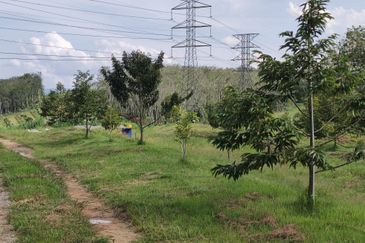 Agri land 17 acres for sale at Lenggong perak 