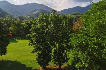 Agri land 17 acres for sale at Lenggong perak 