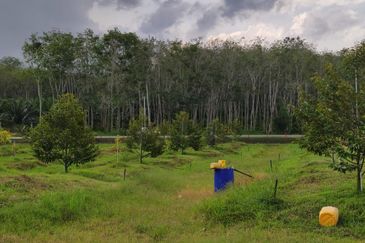 Agri land 17 acres for sale at Lenggong perak 