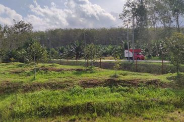 Agri land 17 acres for sale at Lenggong perak 