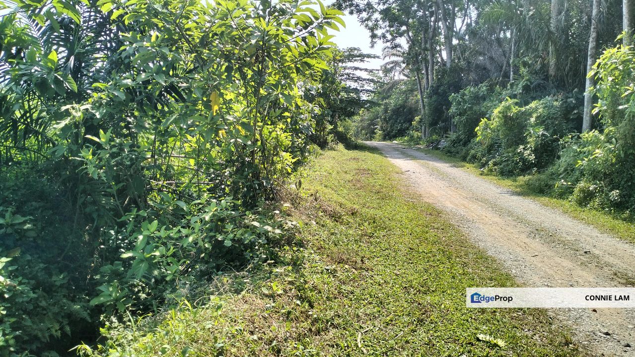 Freehold Agriculture land for sale at Ipoh, Perak, Ipoh