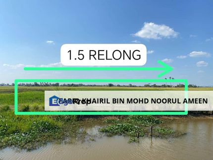 🔥TANAH BENDANG UNTUK DIJUAL🔥 KAMPUNG ALOR MENGKUANG, MUKIM BUKIT RAYA, PENDANG,KEDAH, Kedah, Pendang