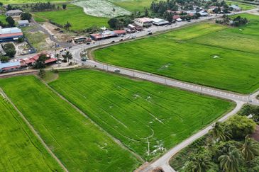 PENAGA SEBERANG PERAI UTARA AGRICULTURE LAND