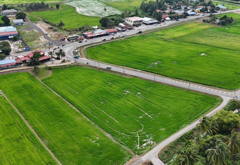 PENAGA SEBERANG PERAI UTARA AGRICULTURE LAND