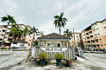 Palm Ville