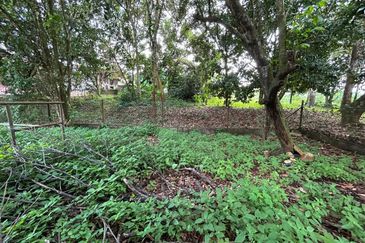 KAMPUNG BARU BANTANG