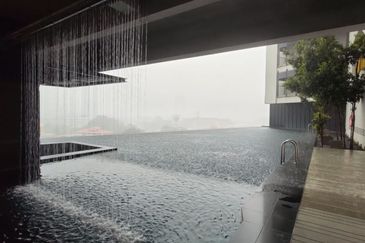 Flexus Signature Suites