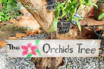 GREEN STREET HOMES (SEREMBAN 2)