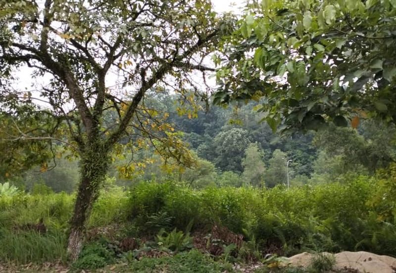 Mirage By The Lake @ Perdana Lakeview West