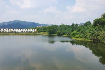 The Grove @ Lake Fields