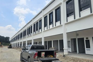 Whitten Eco Majestic