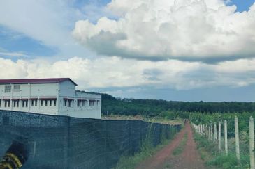 Durian Land for Sale at Tangkak - 5 ACRES