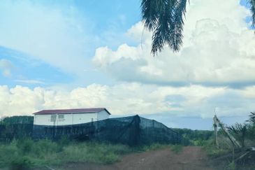 Durian Land for Sale at Tangkak - 5 ACRES