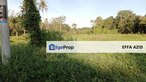 TANAH UNTUK DIJUAL SEMPADAN POKOK SENA/PENDANG❗️❗️, Kedah, Pokok Sena