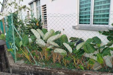 ❗️DOUBLE STOREY TERRACE ENDLOT, FREEHOLD NON BUMI❗️Taman Sena Permai 