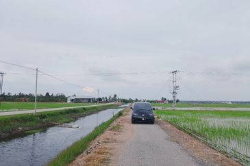  Sesuai Homestay!! View Sawah Padi,Tanah 1.48  Ekar, Parit 13 Sekincan (Pekan Sg Nibung), Selangor  (Geran Individu) 