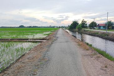  Sesuai Homestay!! View Sawah Padi,Tanah 1.48  Ekar, Parit 13 Sekincan (Pekan Sg Nibung), Selangor  (Geran Individu) 