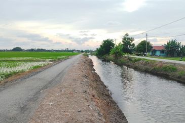  Sesuai Homestay!! View Sawah Padi,Tanah 1.48  Ekar, Parit 13 Sekincan (Pekan Sg Nibung), Selangor  (Geran Individu) 