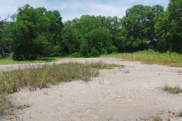Lot Banglo ! Geran Individu Status Bangunan!   Bersebelahan dengan Taman Bayu Alam, Kuala Selangor