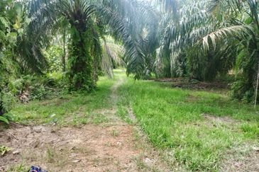  Sesuai Agriculture/Kediaman, Tanah 5.87 Ekar Sg Panjang Sabak Bernam, Selangor. 
