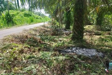  Sesuai Agriculture/Kediaman, Tanah 5.87 Ekar Sg Panjang Sabak Bernam, Selangor. 